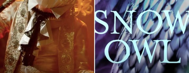 The Masked Singer: Meet All the Characters For Season 4