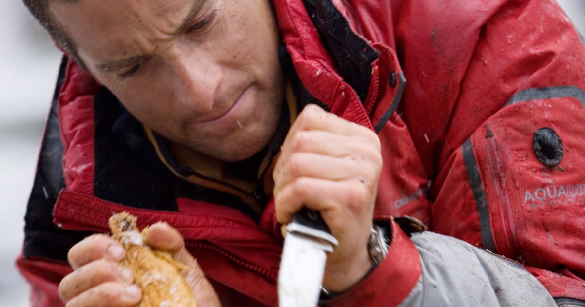 16 Reality Shows About Surviving the Elements That You Can Stream Right Now