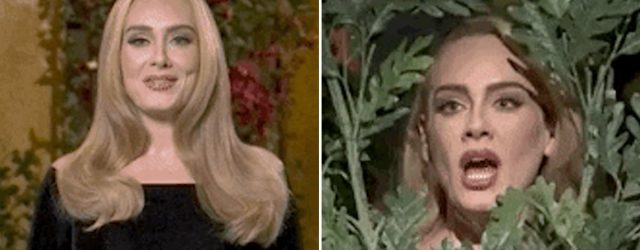 Adele Played a Bachelor Contestant on SNL, and Now We Really Want This to Happen in Real Life