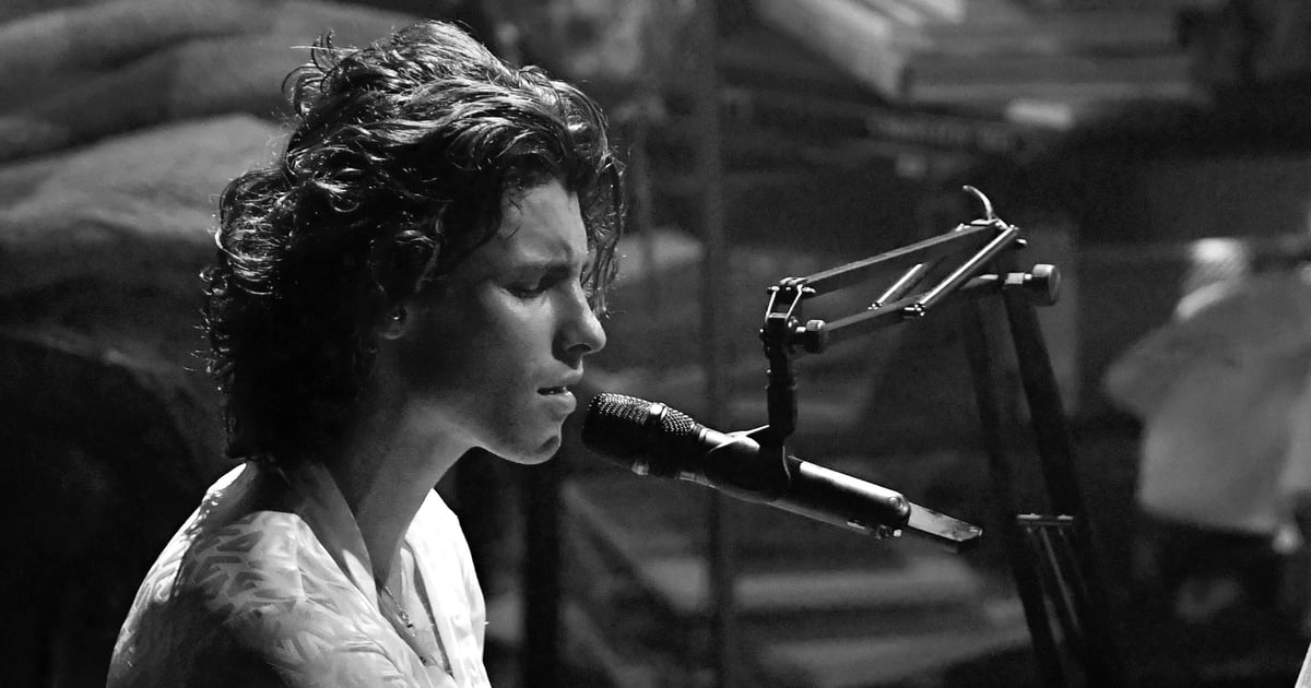 Shawn Mendes Gives "Wonder" a Stirring Award Show Debut at the AMAs