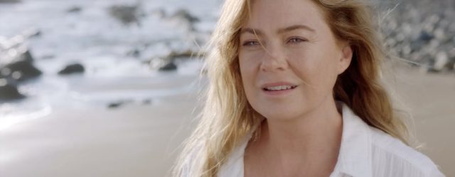 Yes, That Was Exactly Who You Think It Was at the End of Grey's Anatomy's Season 17 Premiere