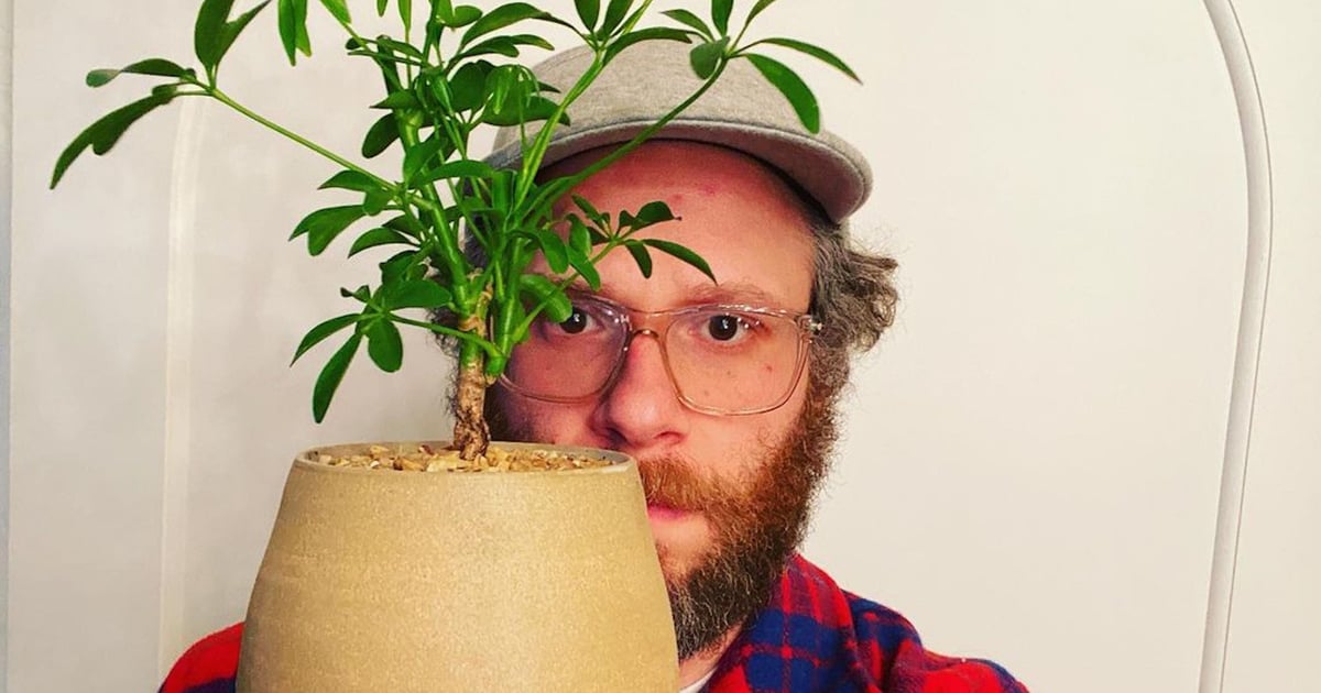 I'm Just Really Living For Seth Rogen's Wholesome Pottery Content