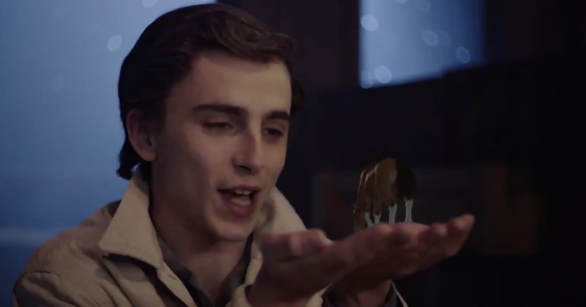 Who Knew Timothée Chalamet Singing About a Tiny Horse Could Be a Bop?