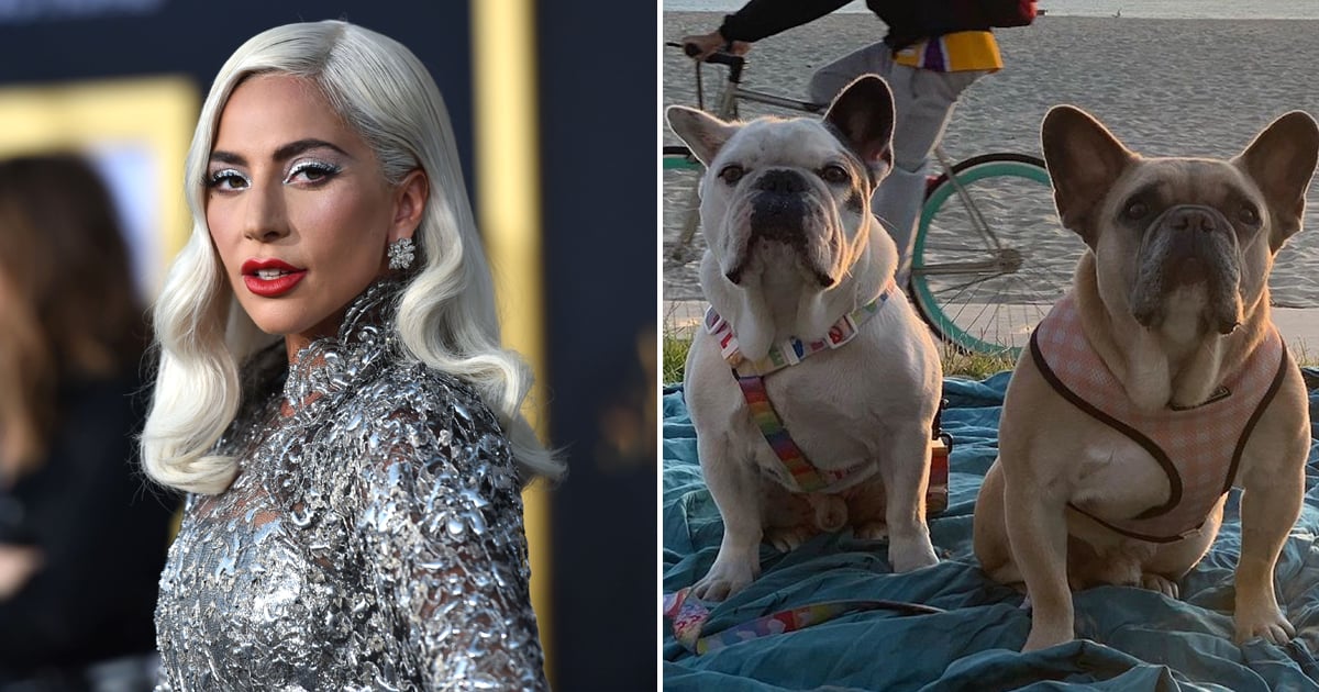 Lady Gaga Speaks Out After Dog Walker Shooting and Dog Theft: "My Heart Is Sick"