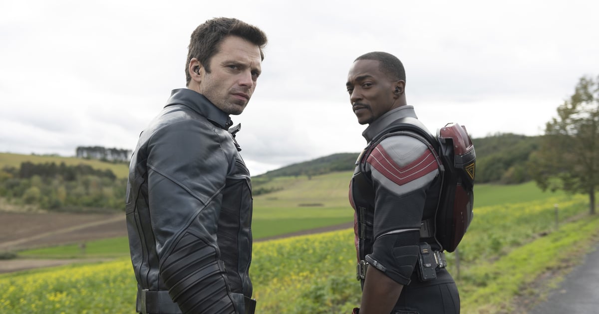 What to Remember About The Falcon and the Winter Soldier's Latest Marvel Cameo