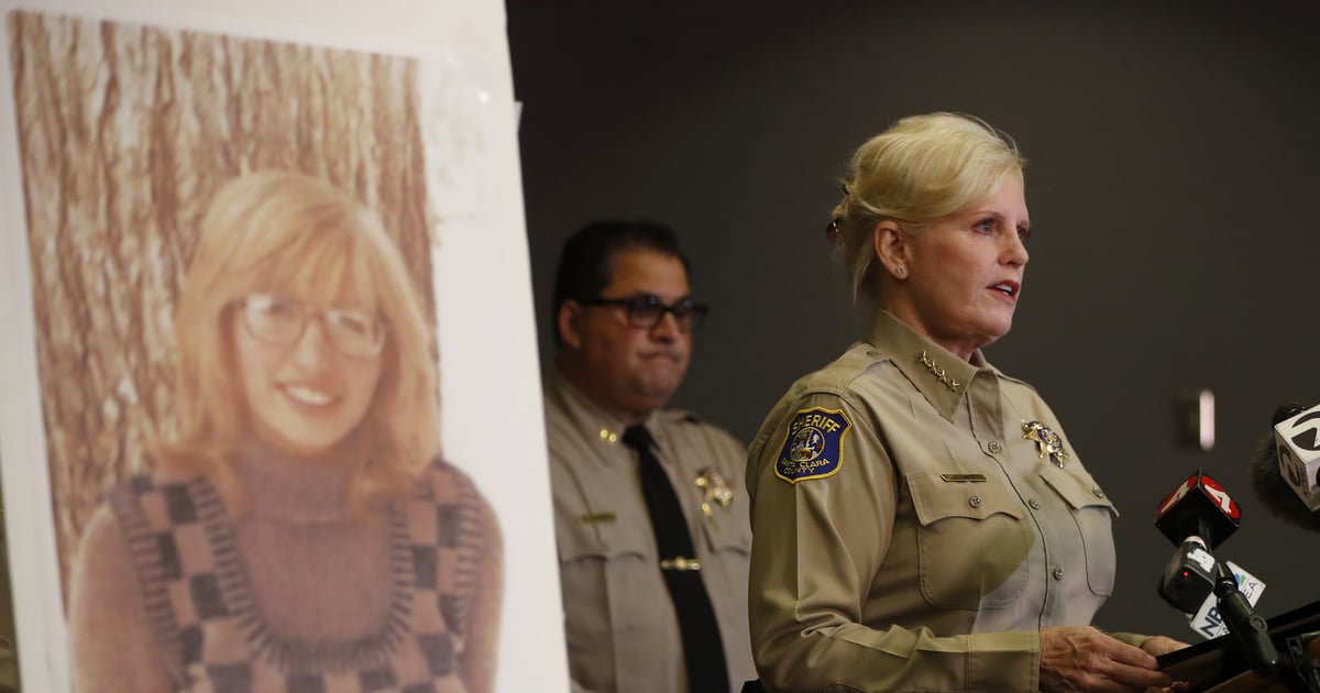 Netflix's Sons of Sam Doc Concludes With a Bombshell About the Arlis Perry Case — What to Know