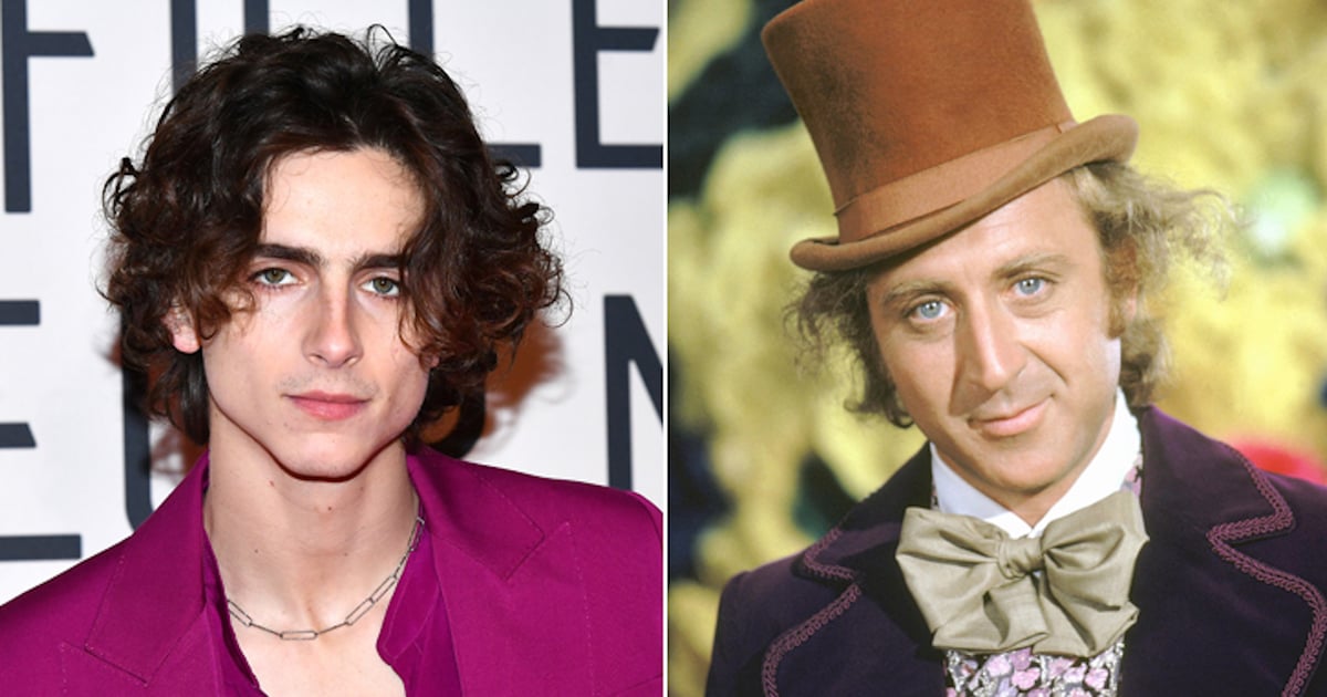 We Don't Need Another Willy Wonka Movie, but at Least Timothée Chalamet Is in the Next One